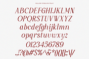 Willow Starlion - Elegant Serif Font, a Serif Font by Say Studio (Thumbnail 10 of 10)