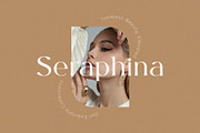 Brandis – Elegant & Modern Serif, a Serif Font by BrandSemut (Thumbnail 5 of 8)