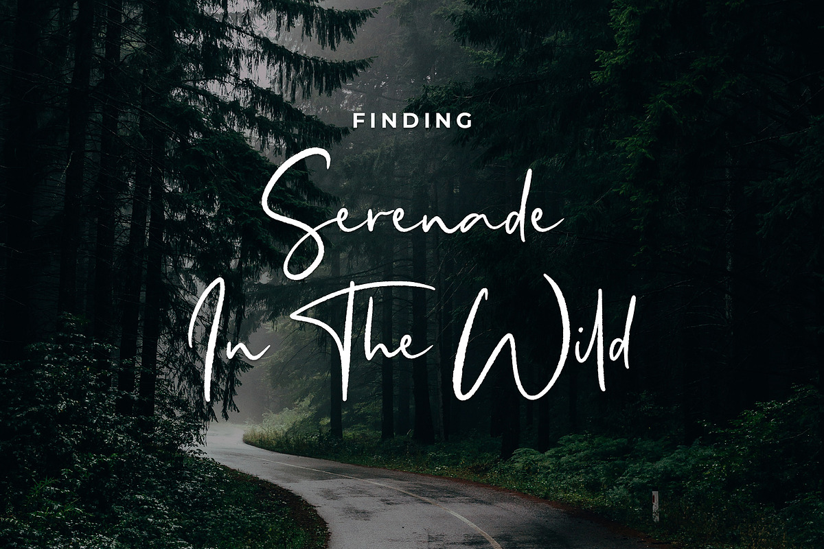 Santique Signature Script Font preview 3