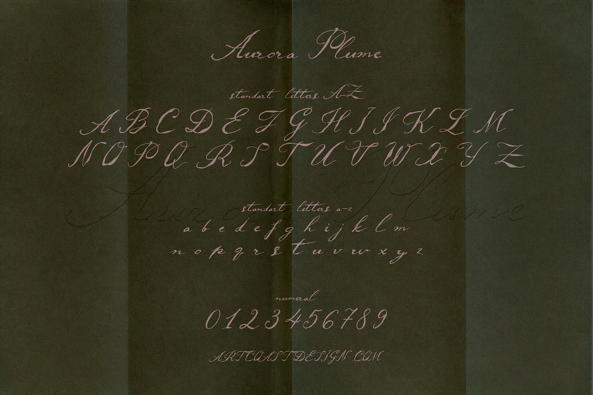 Aurora Plume | Luxury Wedding Font, a Script Font by nadispasibenko (Photo 8 of 9)