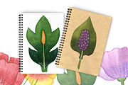 Watercolor flower set, a Decorative Illustration by Marina Zabrodina (Thumbnail 4 of 4)