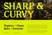 Sirkle - Semi Serif Display, a Serif Font by Invasi Studio (Thumbnail 2 of 11)