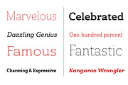 Ainslie Slab, a Slab Serif Font by insigne (Thumbnail 2 of 4)