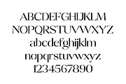 Talesha Font Family, a Serif Font by Seniors (Thumbnail 19 of 30)