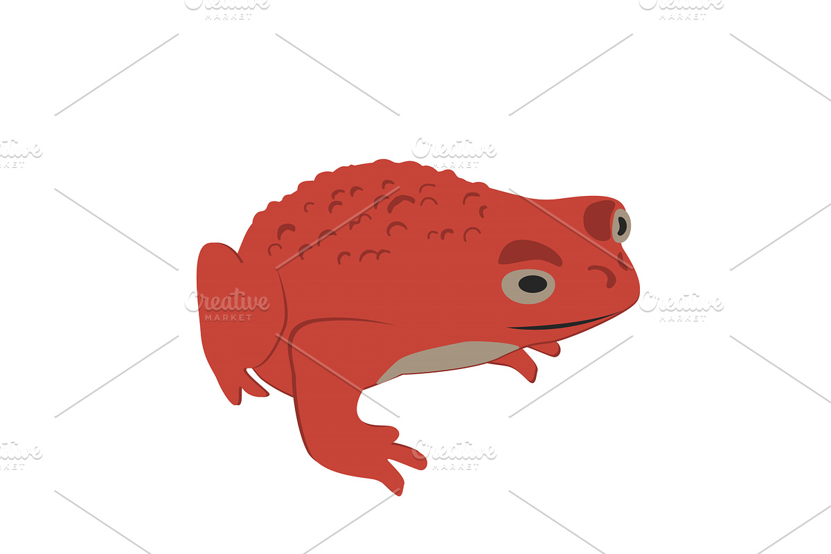Cartoon red frog with warty skin, an Animal Illustration by Toltemara