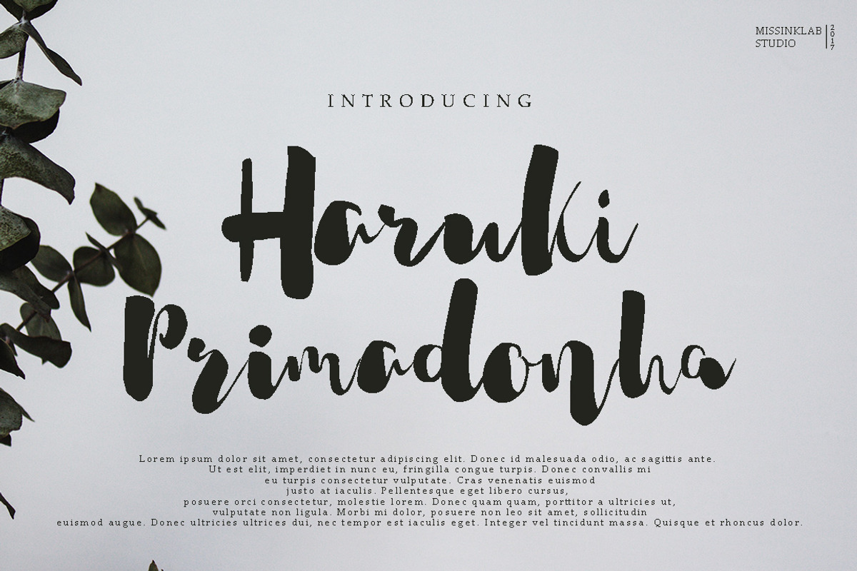 Haruki Primadonha