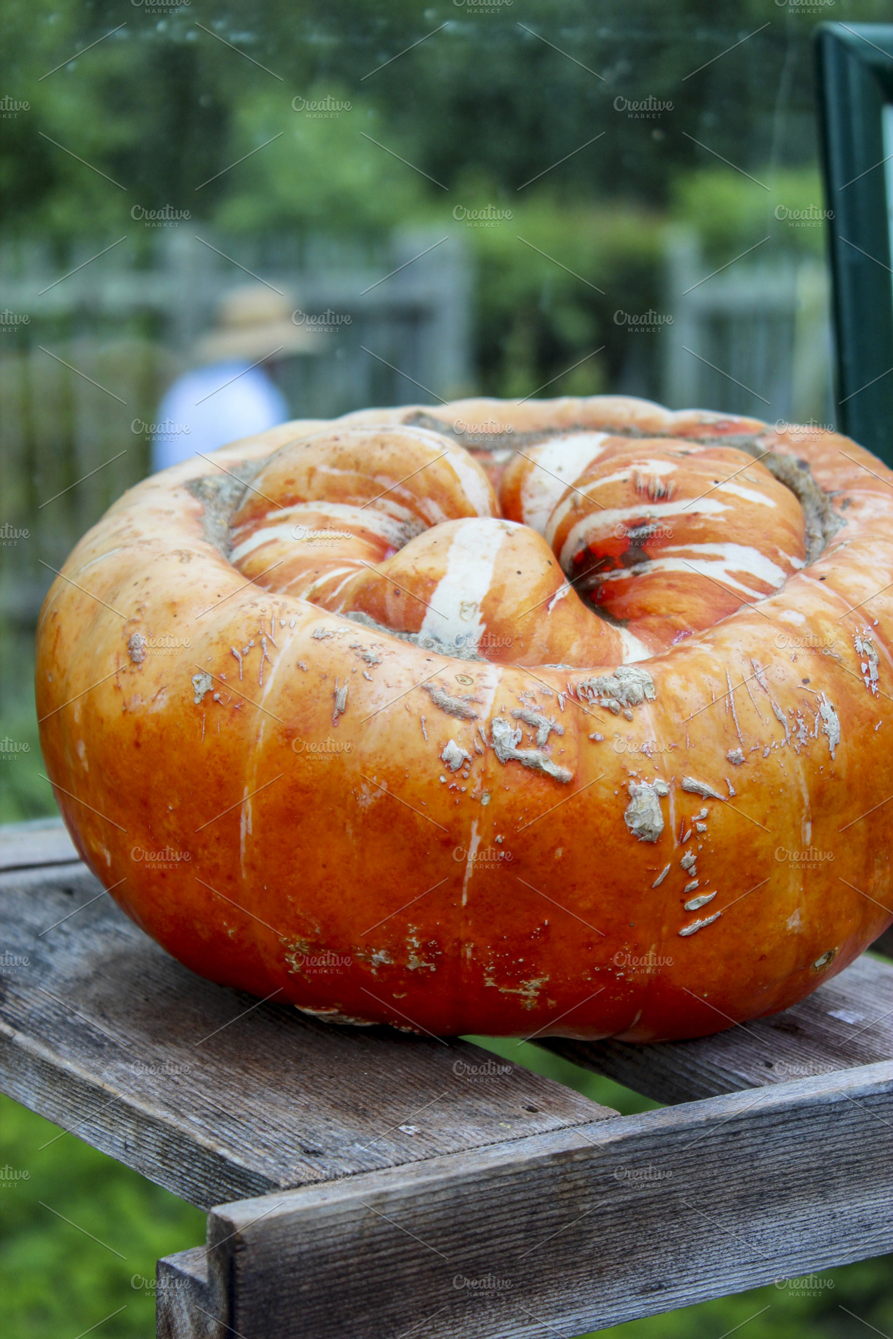 Pumpkin
