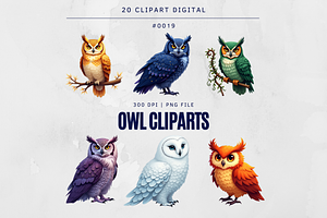 20 Owl Cliparts Design Digital