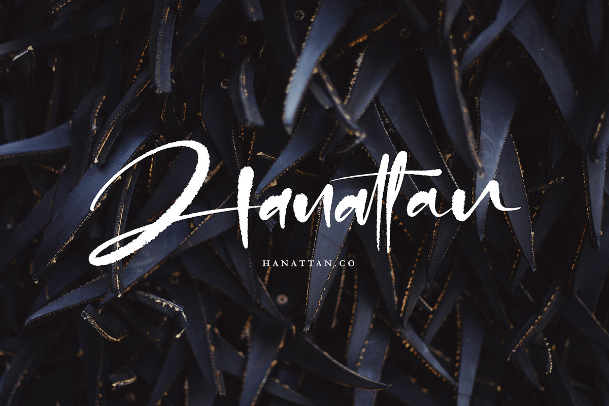 Dontha Tethaki preview 7