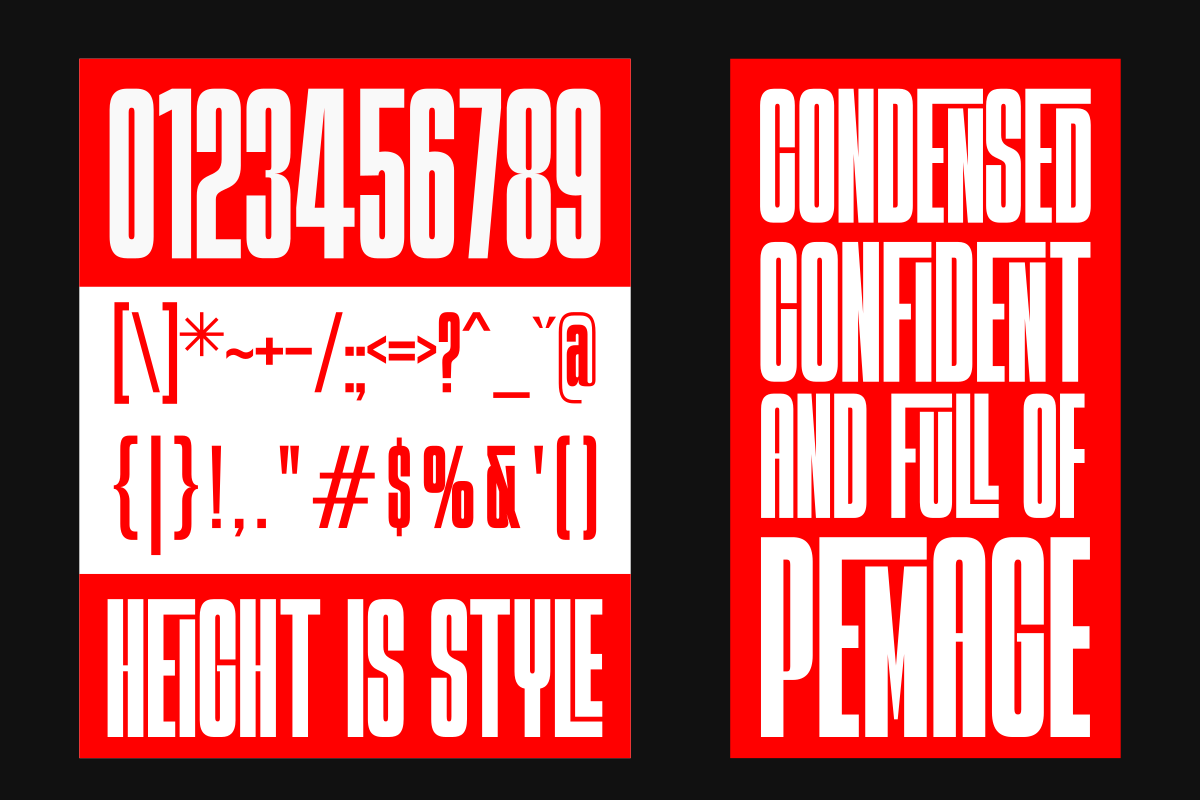 Pemage, a Sans Serif Font by Zafiratype (Photo 13 of 15)