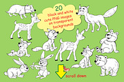 Cute woodland animals bundle, an Animal Illustration by Haso (Thumbnail 9 of 10)