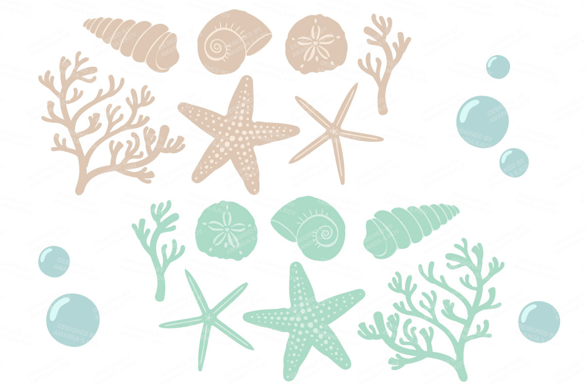 Seashells Clipart in Mint & Coral, an Illustration by Amanda Ilkov (Photo 5 of 5)