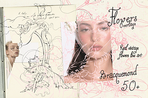 Bracquemond Flower Overlays, a Texture Graphic by Lilithcollageart