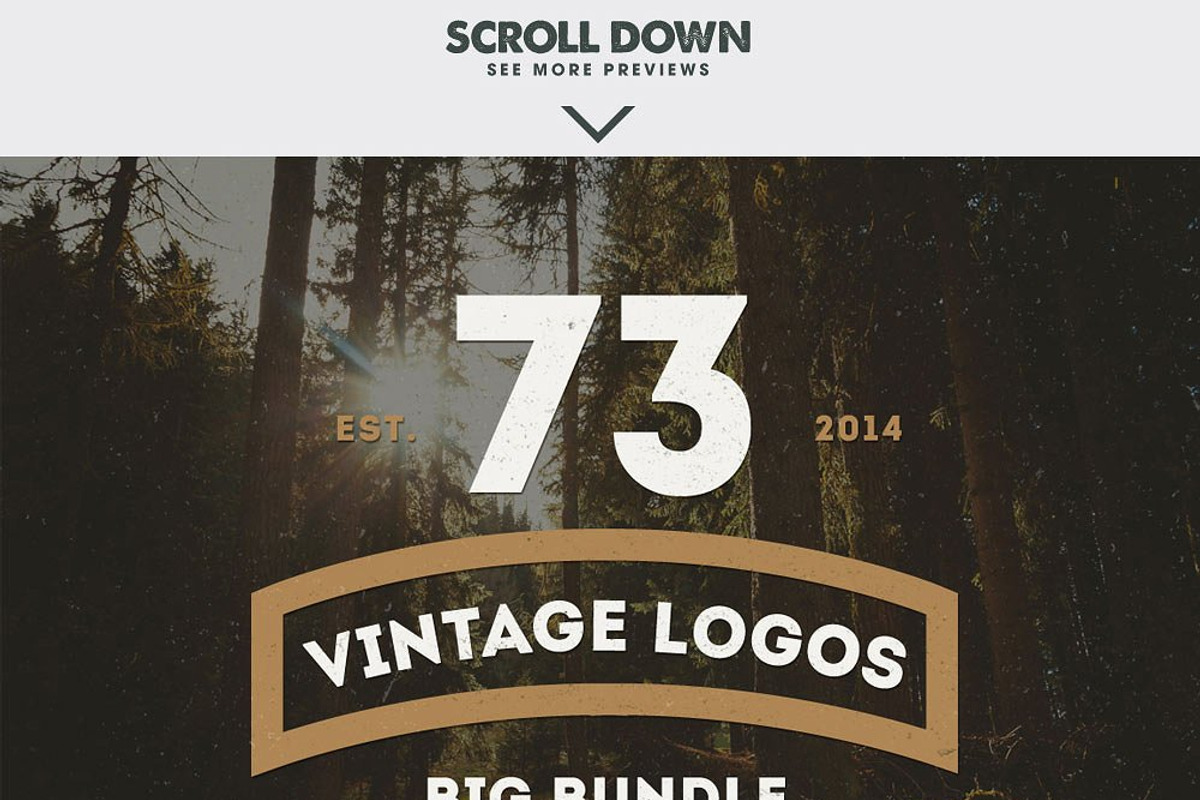 ALL IN ONE LOGO BUNDLE, a Branding & Logo Template by Design District (Photo 27 of 61)