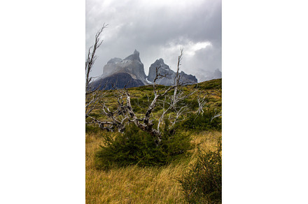 Road to the viewpoint Los Cuernos, a Nature Photo by LARISA BLINOVA