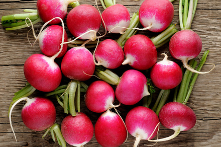 Fresh radishes stock photo containing radish and vegetable preview 6