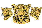 LEOPARD, an Animal Illustration by Tanya Akhmett (Thumbnail 8 of 9)