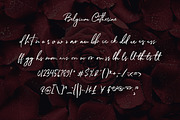 Belgium Catherine, a Handwritten Font by Almarkhatype (Thumbnail 11 of 12)