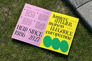 Matrixgi High-Contrast Decorative, a Serif Font by timelesstype.co (Thumbnail 6 of 10)