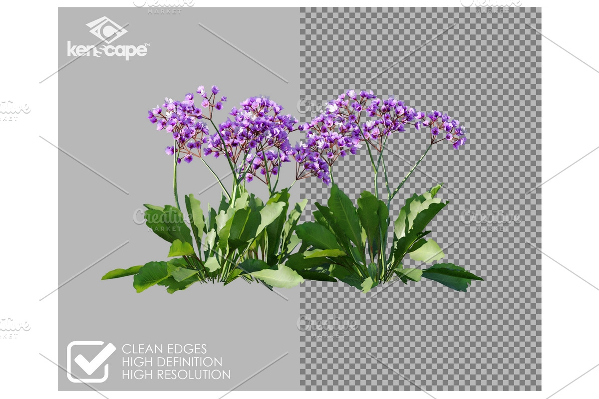 60 Assorted Plants Photo Overlays, a Nature Photo by KenScape (Photo 2 of 3)