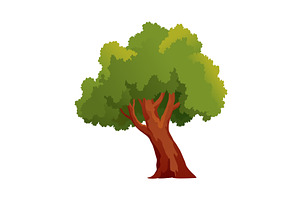 Tree, old forest vector illustration, an Object Illustration by the8monkey