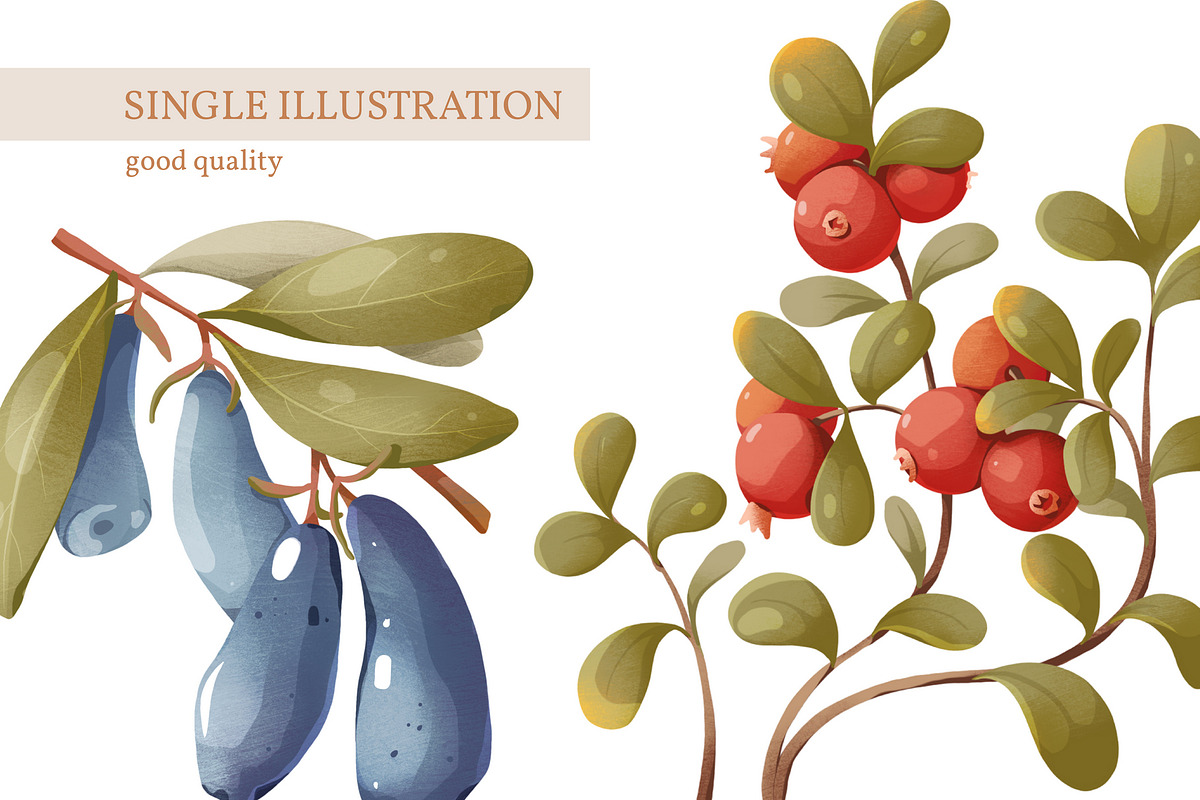 Berries &forest plants, a Texture Illustration by Izobova (Photo 4 of 7)