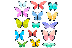 Colored Seamless Pattern Butterfly