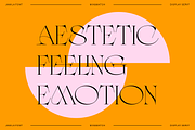 Jamila Stylist Display Serif, a Serif Font by RedyStudio (Thumbnail 7 of 12)