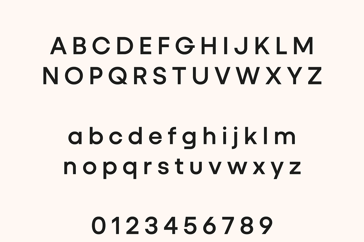 Ideal Pro Sans Family, a Sans Serif Font by Creative Foundry (Photo 7 of 9)