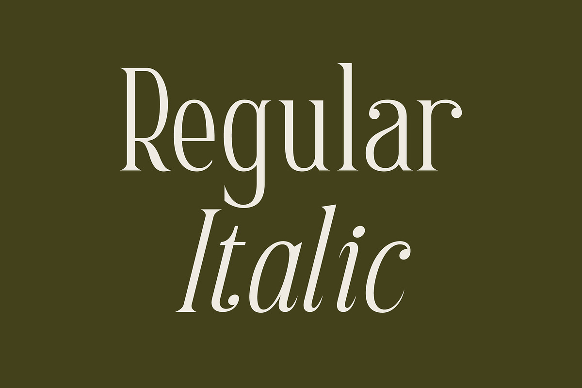Scarlett Quistan Modern Serif Font, a Serif Font by Letterena Studios (Photo 5 of 15)