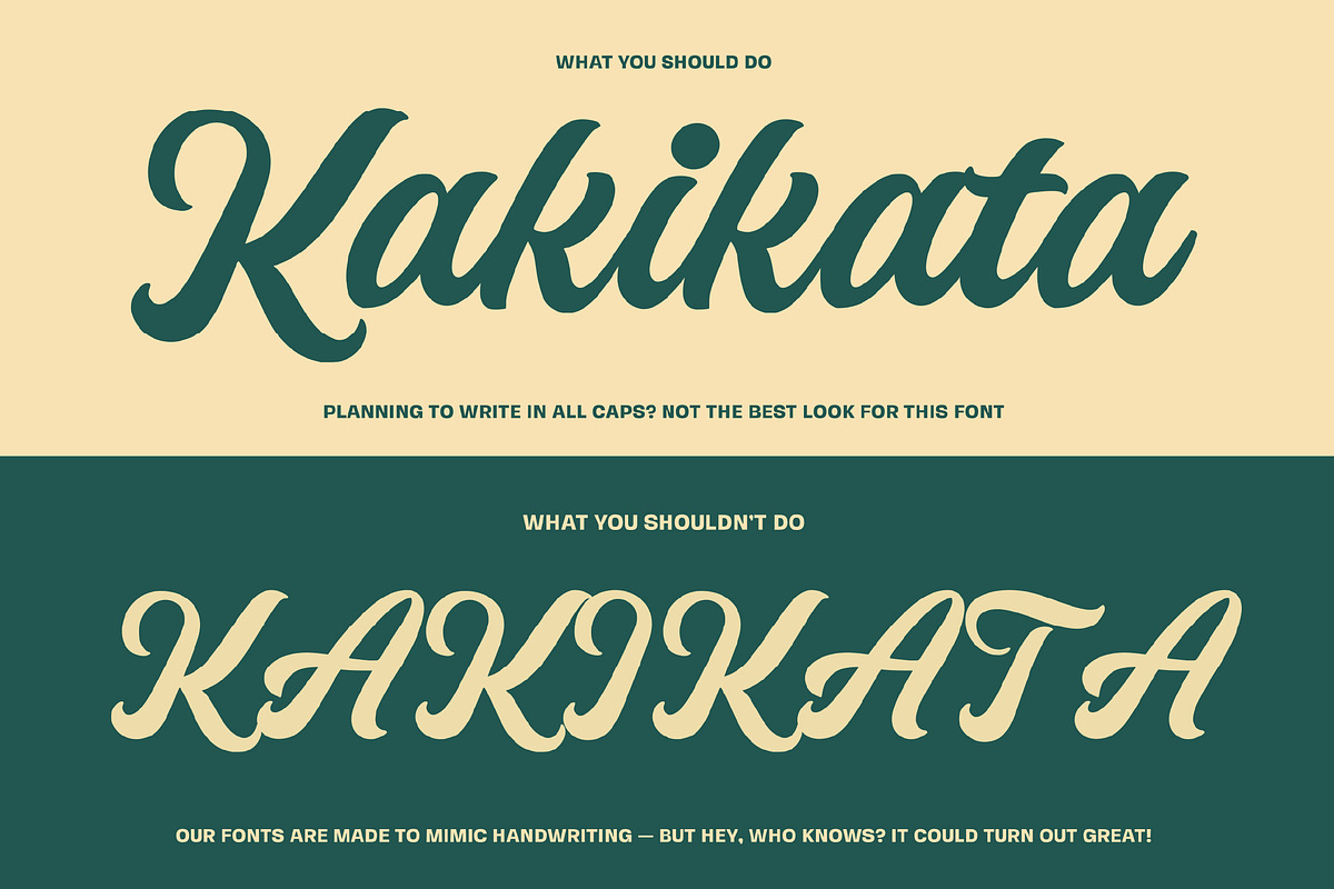 Flourivox, a Script Font by graphicook (Photo 7 of 10)