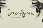 Mango Driver - Signature Brush, a Handwritten Font by tebaltipislab (Thumbnail 8 of 10)