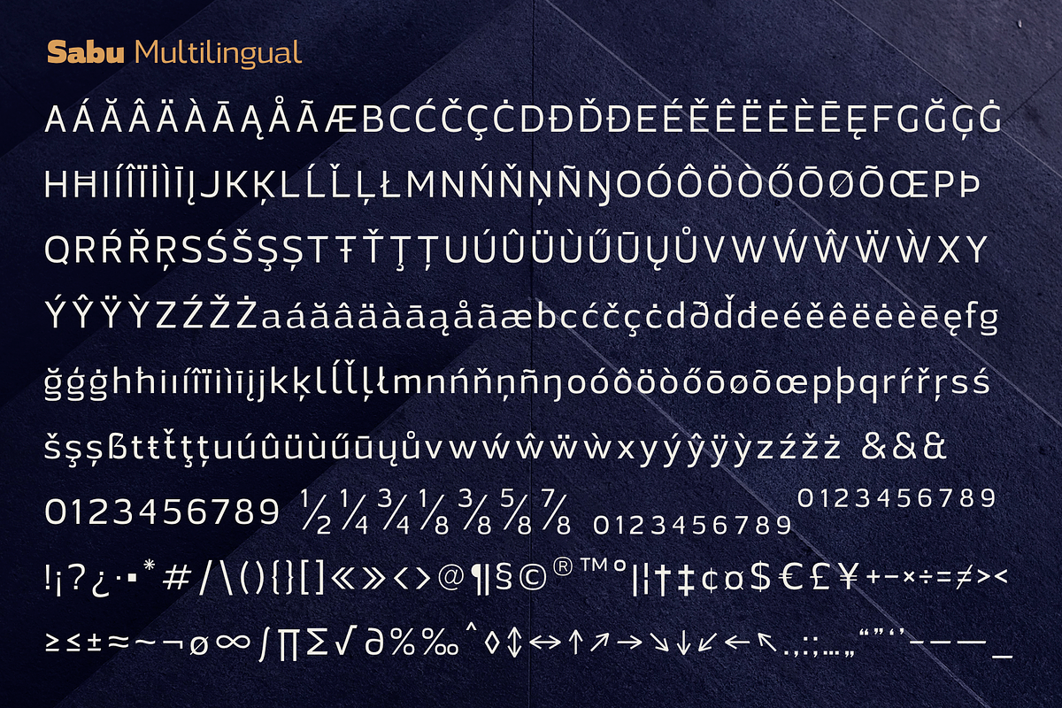Sabu | Font Family, a Sans Serif Font by Larin Type Co. (Photo 8 of 11)