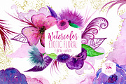 Exotic Florals & Feathers, an Illustration by ClipartBrat Graphics (Thumbnail 1 of 6)