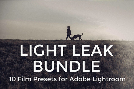 Black White Presets For Lightroom preview 4