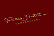 nice elegant dysplay, a Script Font by SHEILLA (Thumbnail 6 of 9)
