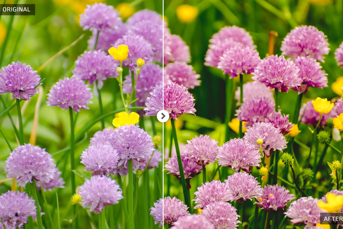 50 Spring Lightroom Presets preview 2