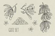 Goji berries set, seamless patterns, a Food Illustration by Good Studio (Thumbnail 2 of 9)