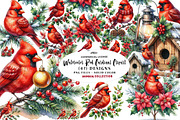 Watercolor Red Cardinal Clipart, a Seasonal Illustration by CreationArt (Thumbnail 1 of 7)