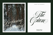 Francy Tiguan | Classy Script Font, a Script Font by Jolicia Type (Thumbnail 6 of 12)