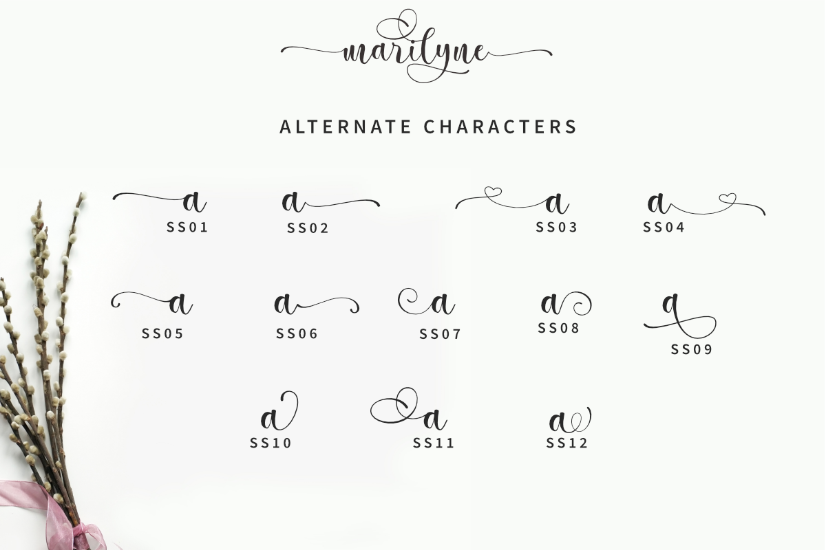 Marilyne -  Modern Calligraphy, a Script Font by Silverdav (Photo 9 of 9)