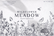 Wildflower Meadow Vector Set, a Decorative Illustration by Molly art (Thumbnail 1 of 12)