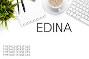 Edina Sans Serif Minimal Font Pack, a Sans Serif Font by Creativetacos (Thumbnail 1 of 5)