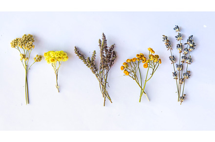 Medicinal herbal extract in a bottle, a Nature Photo by yanadjana