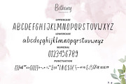 Bethany - Handwritten Font, a Handwritten Font by Alphaleonis_std (Thumbnail 7 of 8)