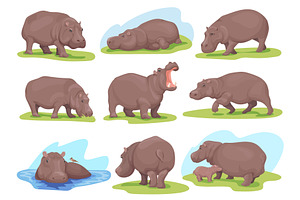 Hippopotamus poses. Realistic hippo, an Animal Illustration by Stock-Smart-Start