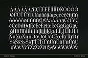 The Ethicly, a Serif Font by Pista Mova (Thumbnail 17 of 21)
