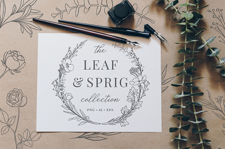 Botanical Illustrations & Logo Kit