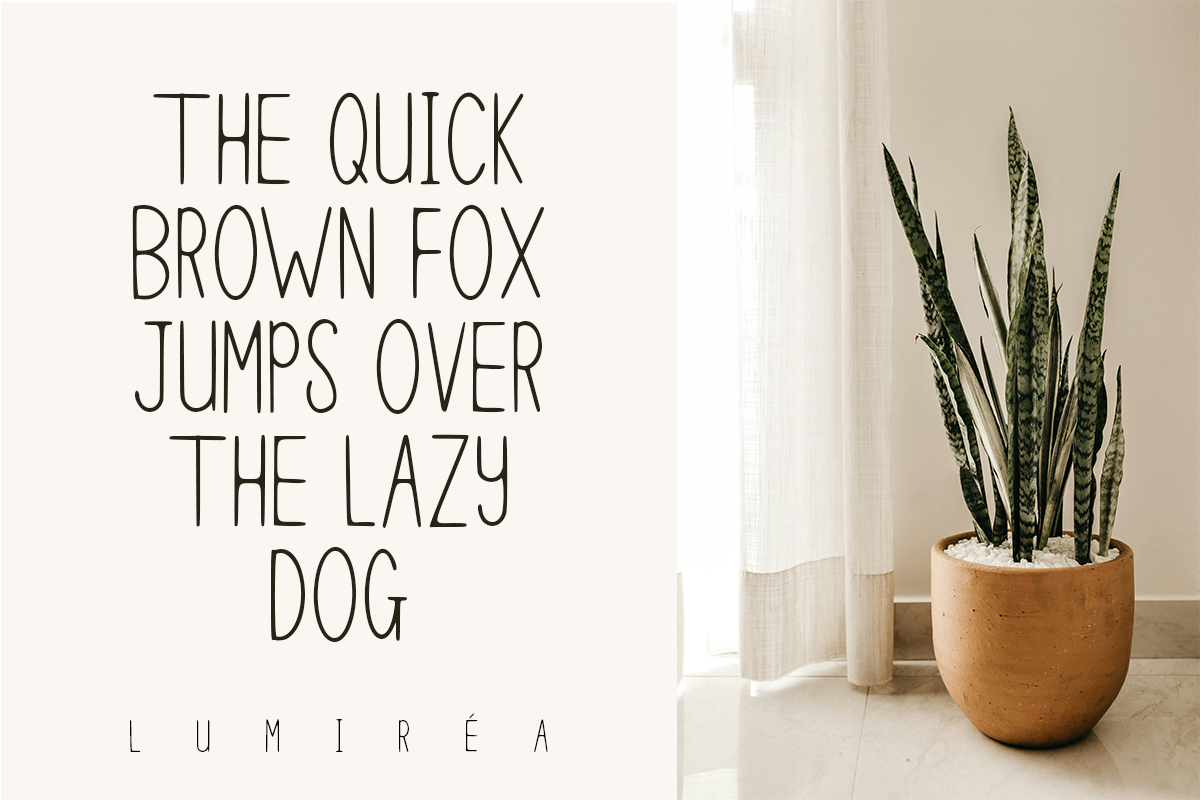 Lumiéra - Modern Aesthetic Boho Font, a Handwritten Font by roomspace creative lab (Photo 11 of 12)