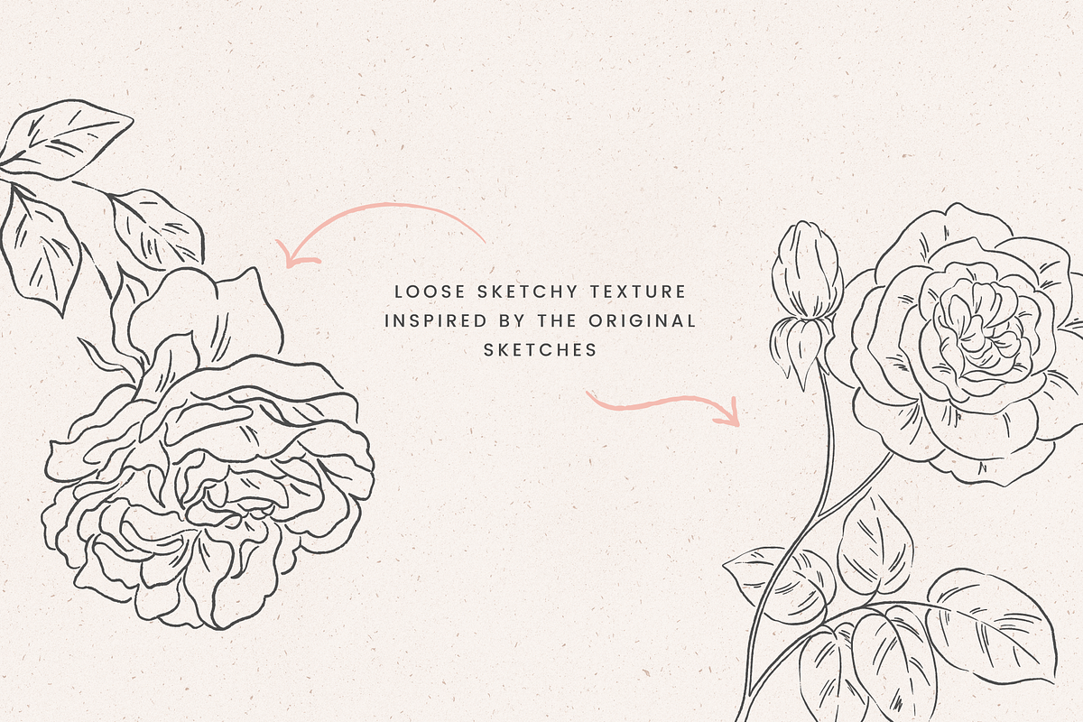 Rose Garden Vector Illustrations, an Illustration by Emma Webb Studio (Photo 6 of 8)